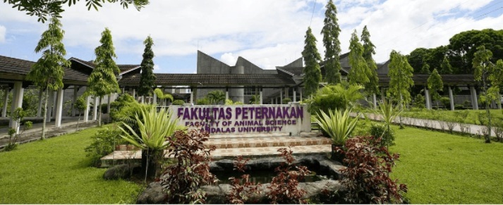Gambar Depan faterna yang baru